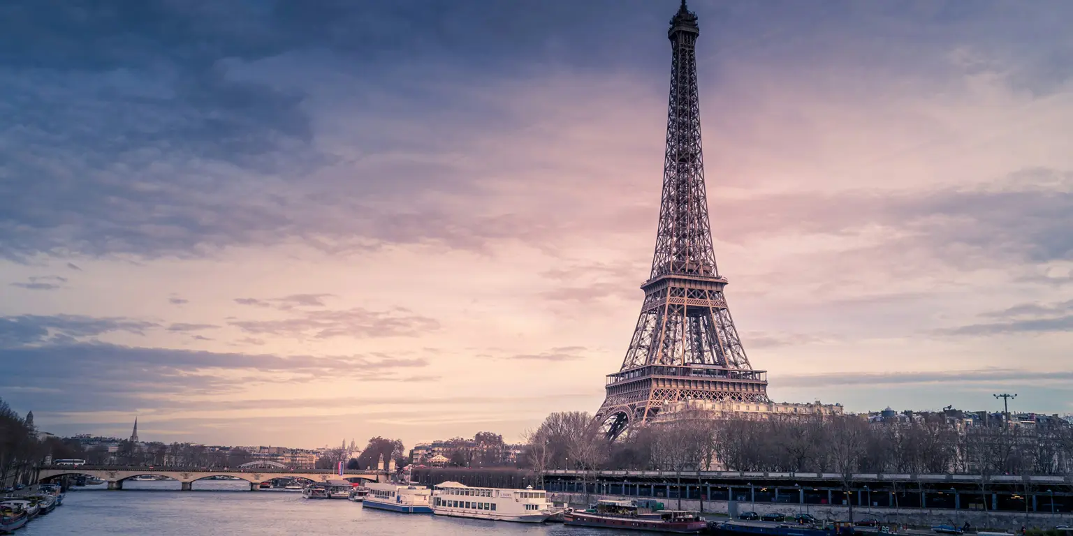 Project of the Week: TRIBE Paris