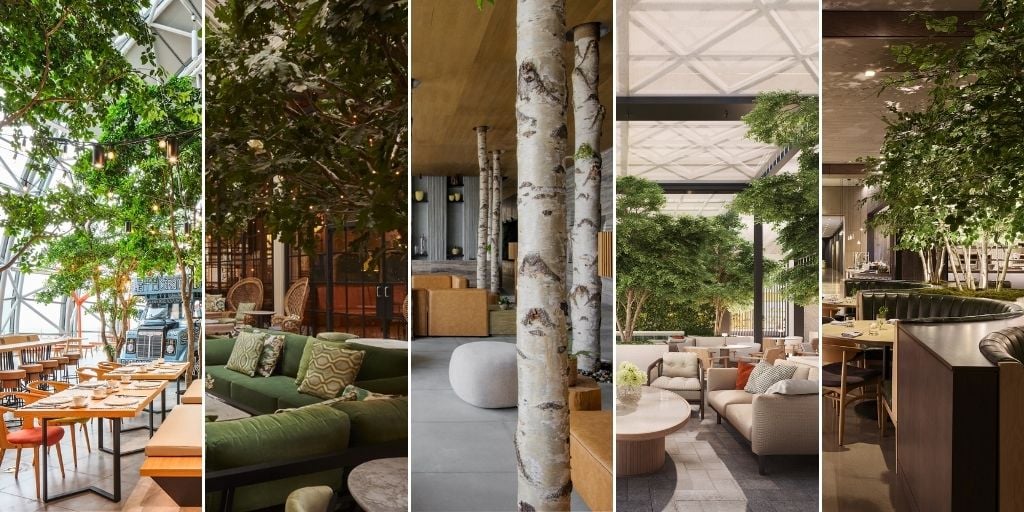 Design showcase: top five indoor forests