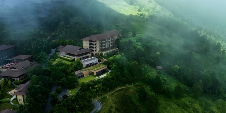 Tata backs Indian Hotels growth
